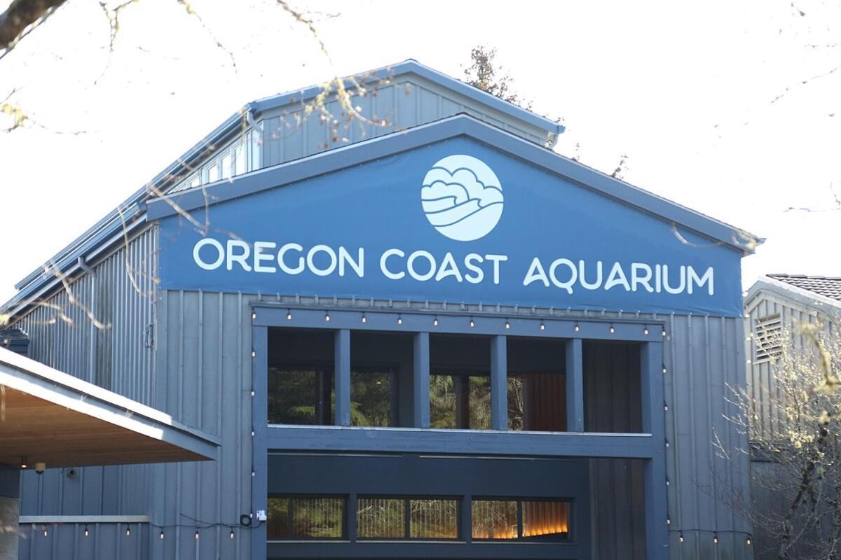 Little Creek Cove Beach Resort Newport Exterior foto